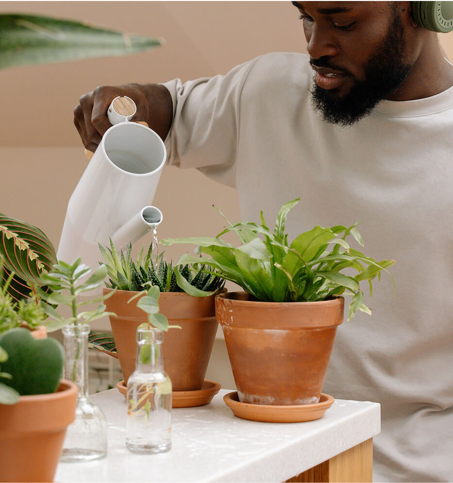 man watering plants
