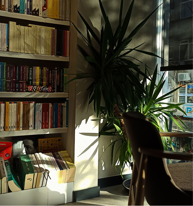 plant